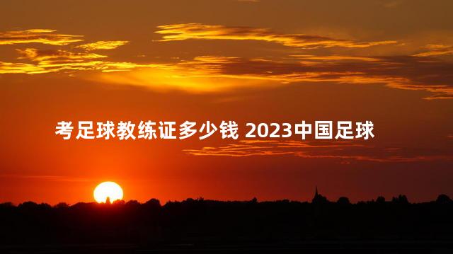考足球教练证多少钱 2023中国足球E级教练证